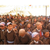 fol_dl1.jpg
