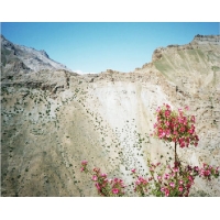 fol_natur3.jpg