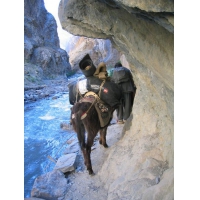 08 Die Schlucht h.jpg