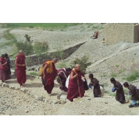 453B Der hohe Lama ist da.jpg
