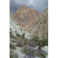 DSCF1816.jpg