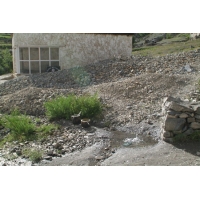 DSCF2309.jpg