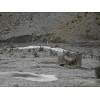normal_k12 house washed out.jpg