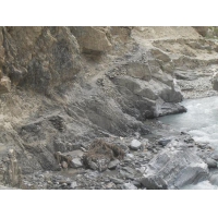 normal_k27 damaged trail needs to restore.jpg