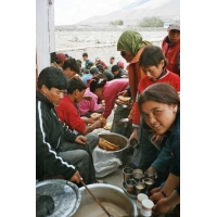 3_imm010.jpg