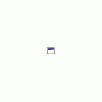 exe.gif