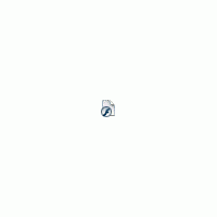 flv.gif