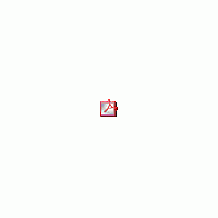 pdf.gif